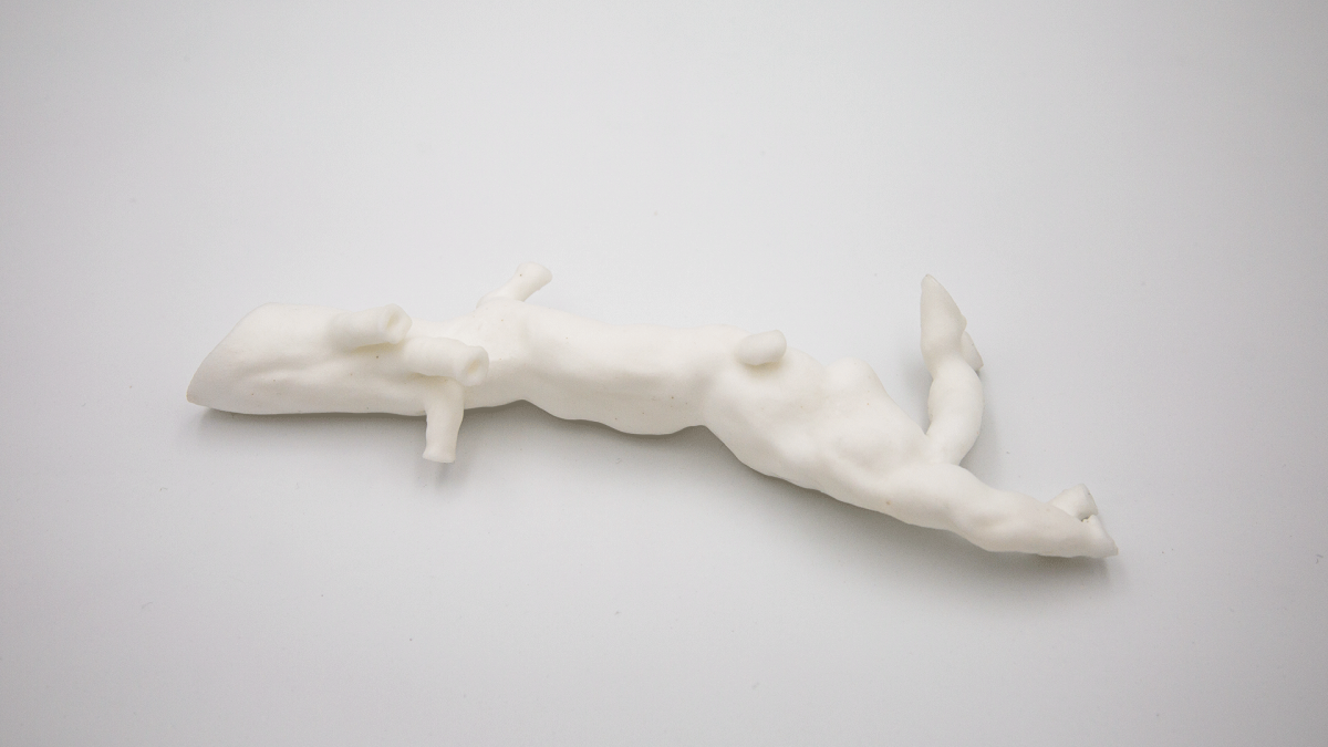 3d Printed Aorta