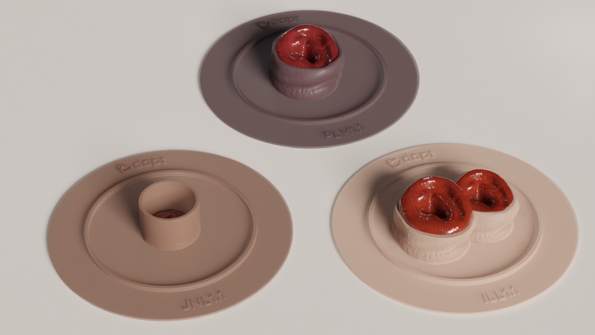 Renders of Odapt showing three customised wafers
